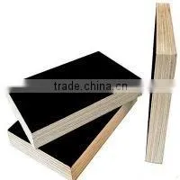 High Density and High Grade Water Resistant Container Plywood board