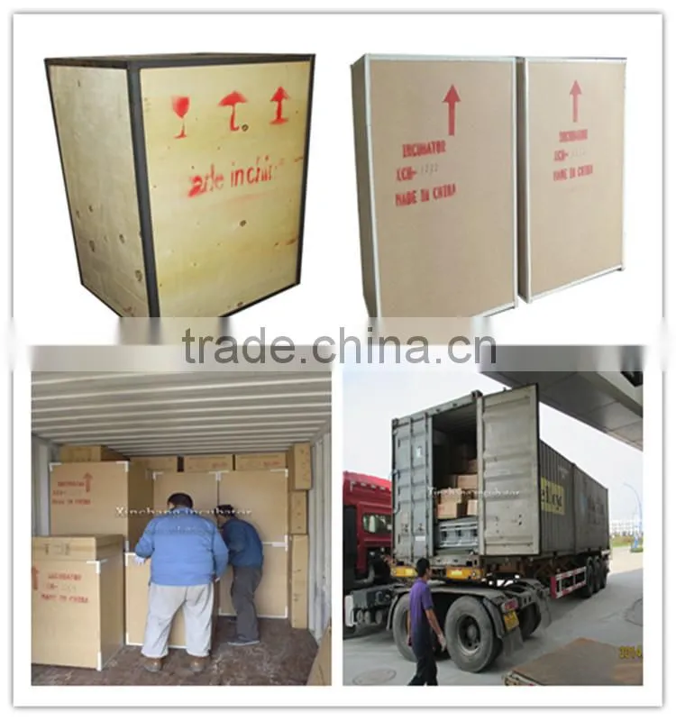 XCH-42 PCS high quality chicken egg incubator hatchers for sale
