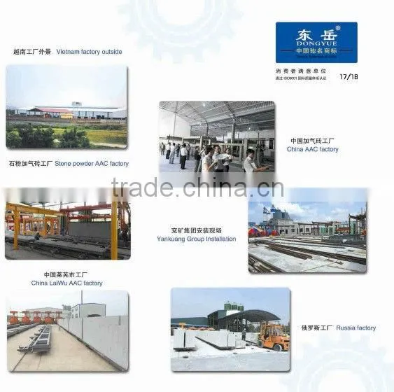 Aac Plant Manufacturer