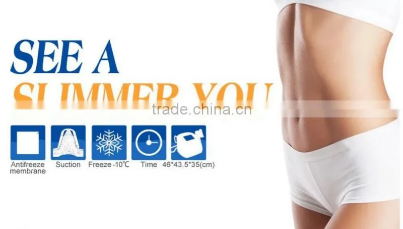 coolshape cryo freeze fat cell slimming machine with 2 handle BD05B
