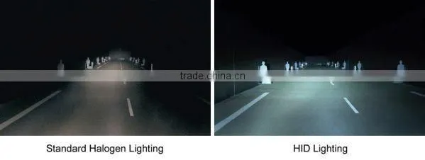 12V 75W HID BULB