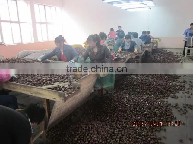 price chestnuts of 2013