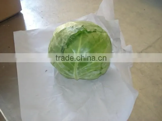 Round Cabbage/Flat Cabbage