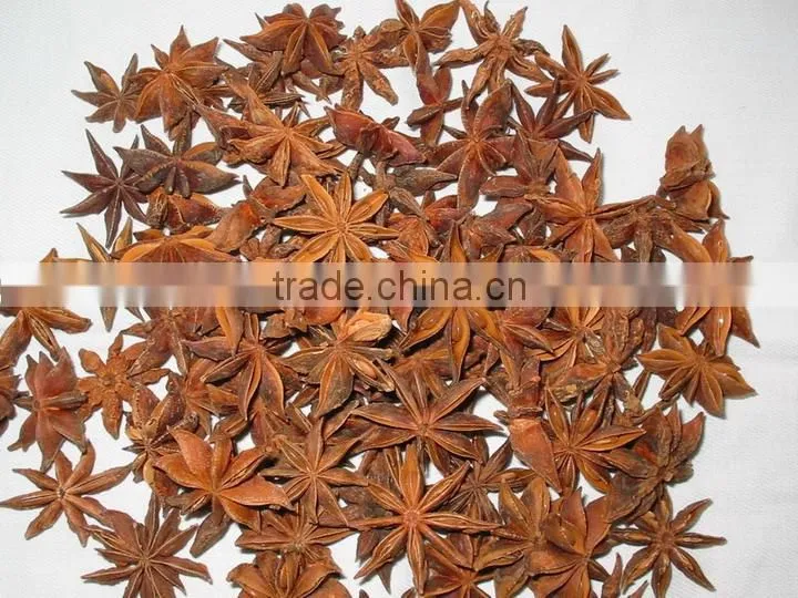 Star aniseeds with stems