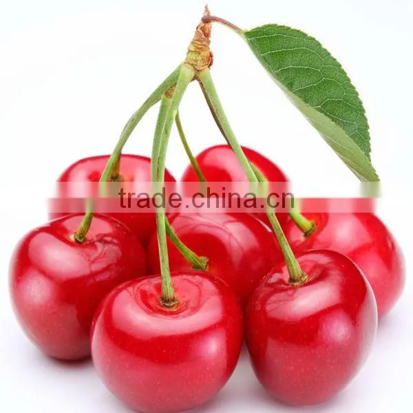Acerola Cherry Fruit Extract