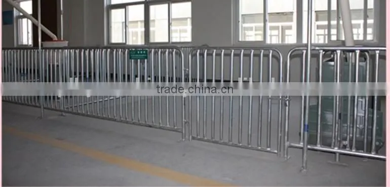 Insemination Pig Stalls