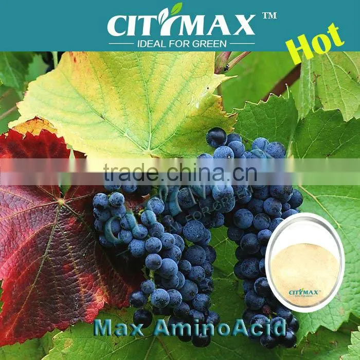 Humic Acid Amino Acid Powder