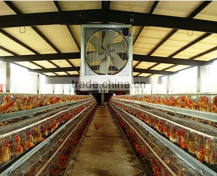 Energy-Saving industrial belt drive wall mounted exhaust fan price