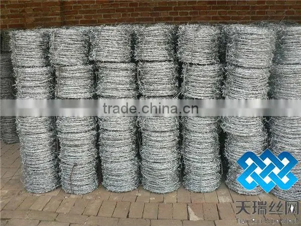 galvanized steel coiled barbed wire