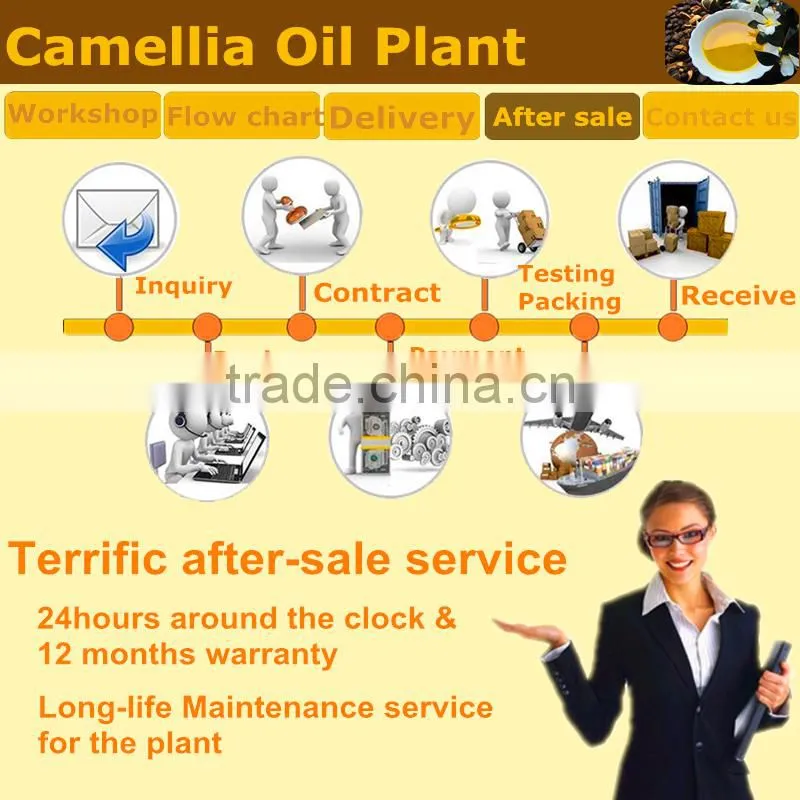 Hot Sale Green Tea Seed Oil Machine Processing Plant CE ISO