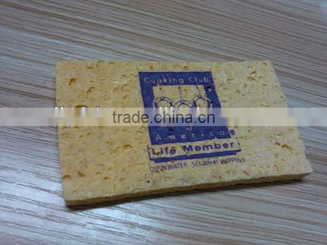 2015 The Body Shop Soft Facial Cleansing Sponge