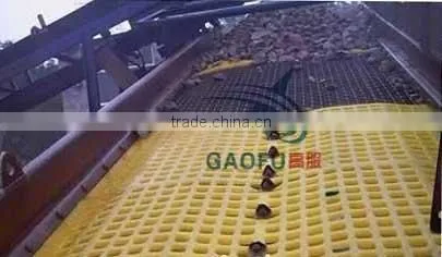 Polyurethane Sieve Plate for mining