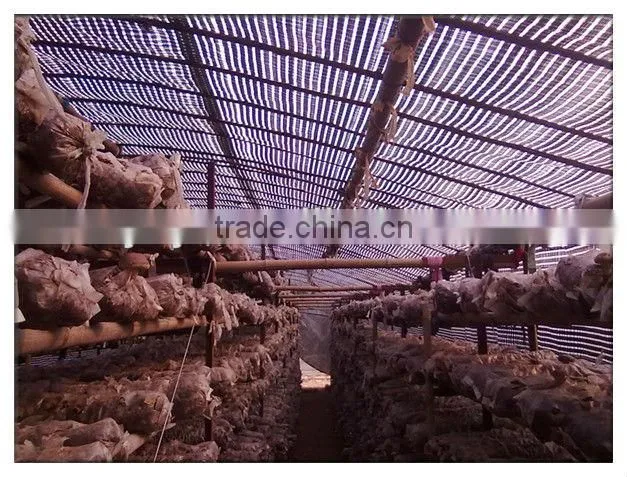 mushroom planting greenhouse film,black film for agaricus,Oyster Mushroom