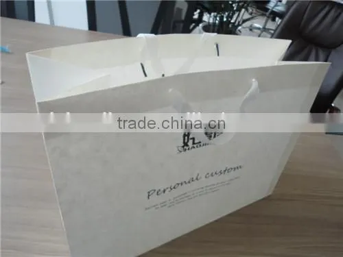 Customized New Fashion Protective Bag for Clothing