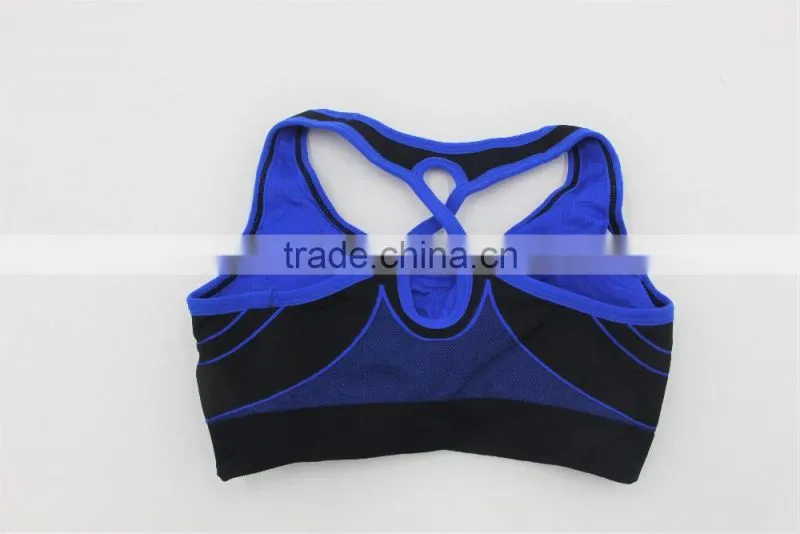 Blue seamless sports bra /customized sports bra factory shantou