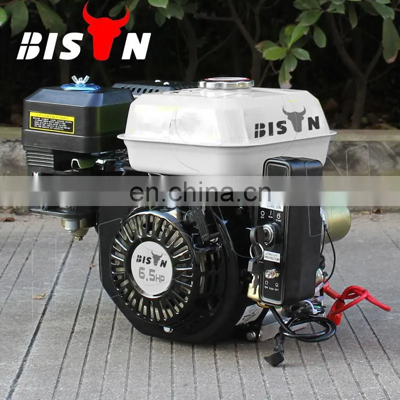 BISON Electric Start Gasoline Engine Quality Chinese OHV 6.5 HP Gasoline Engine