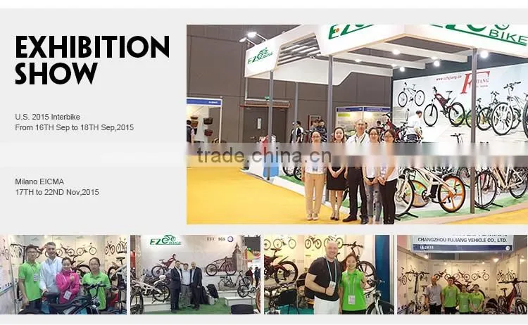 FJ-TDE07, new model electric motor bicycle china