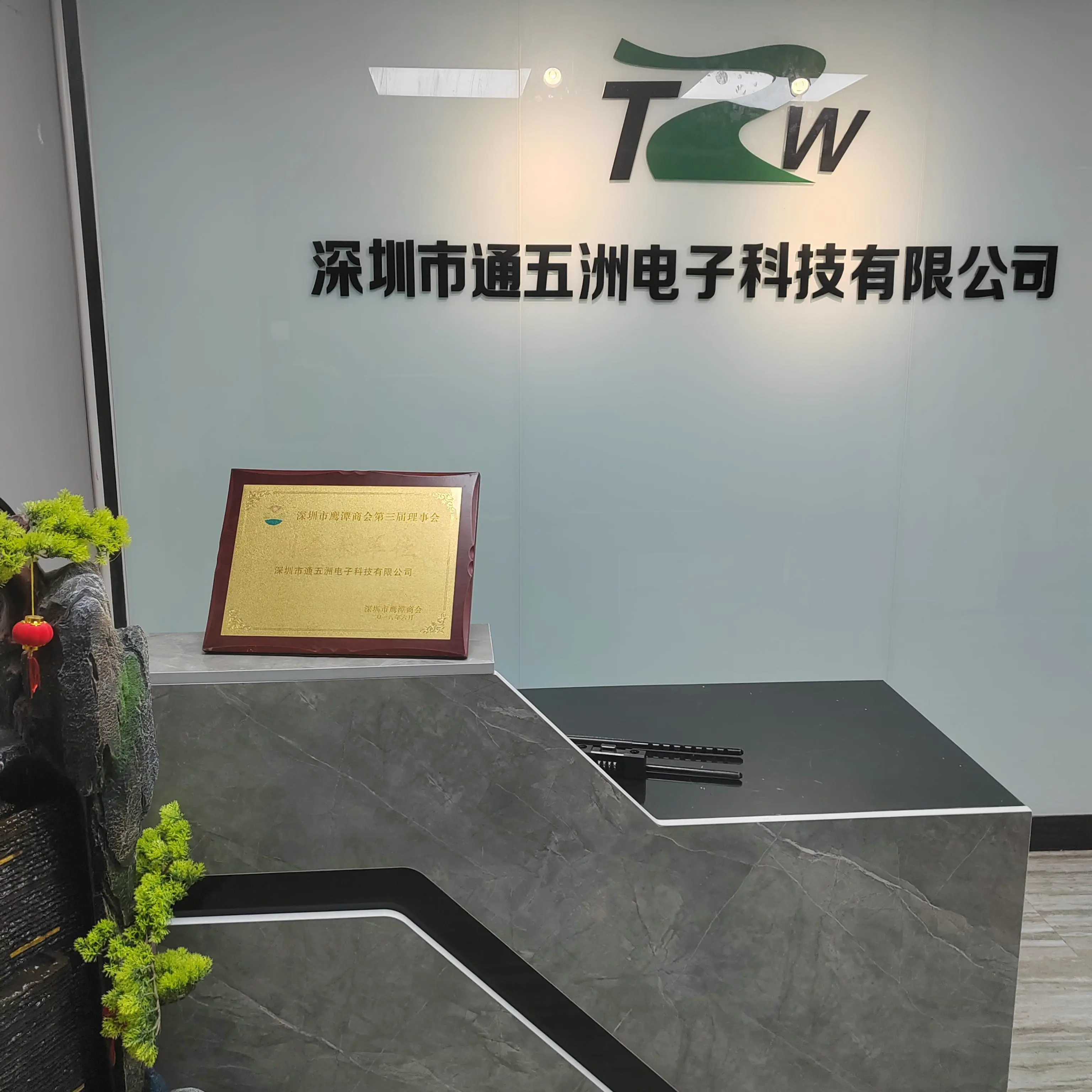 Shenzhen Tongwuzhou Electronics Technology Co., Ltd. company overview - view 1