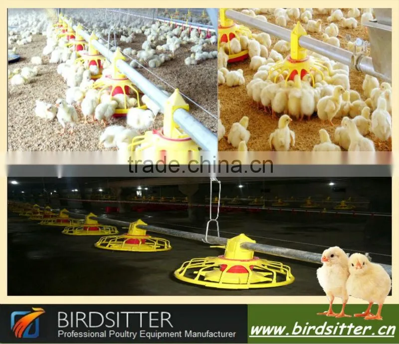 Hot sale modern automatic quail feeding equipment