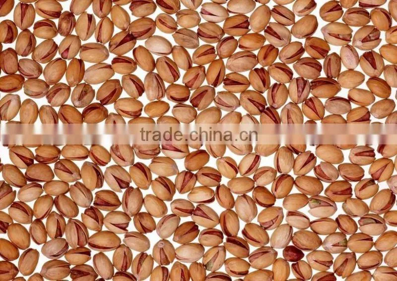 chestnut Pine Nut Opener equipment,Filbert nut opening machine,Walnut opening machine