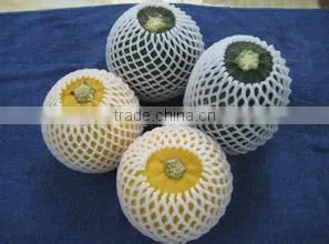 Plastic Packaging Net; foam net; foam cushion