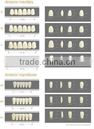 PMMA temporary denture acrylic shell