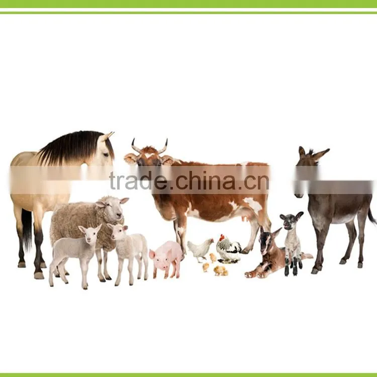 bio feed additives