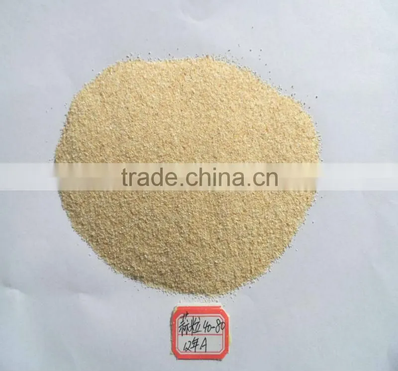 dried garlic granule with root