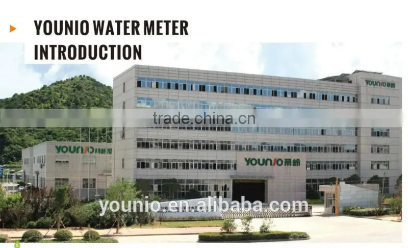Different Kinds of Volumetric Rotary Piston Water Meter