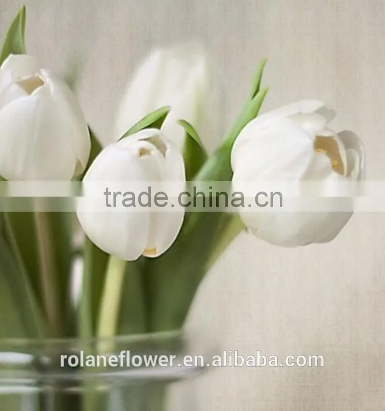 Graceful high quality white tulip flower for exporting