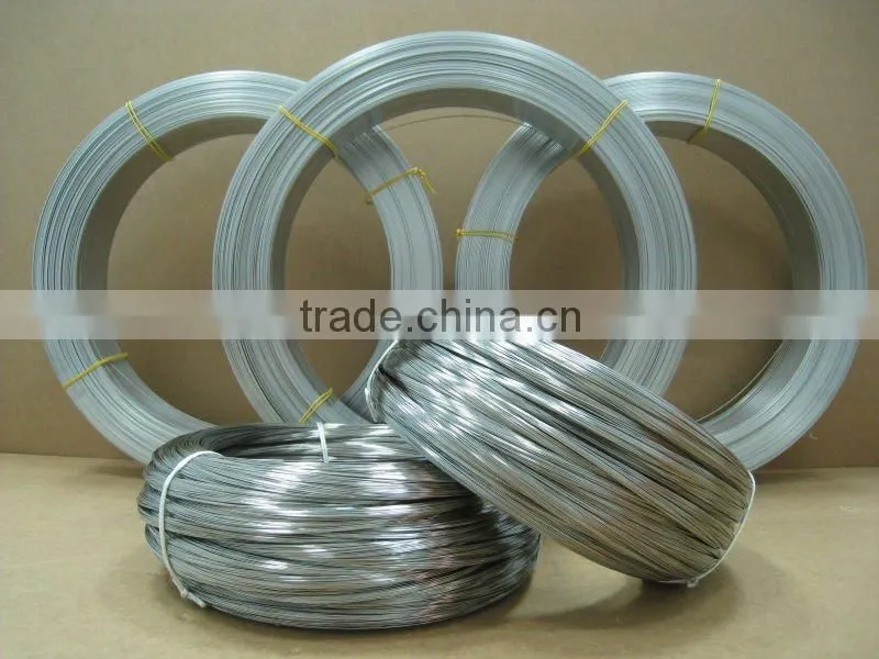 Bwg20 Galvanized Iron Wire /Galvanized Wire