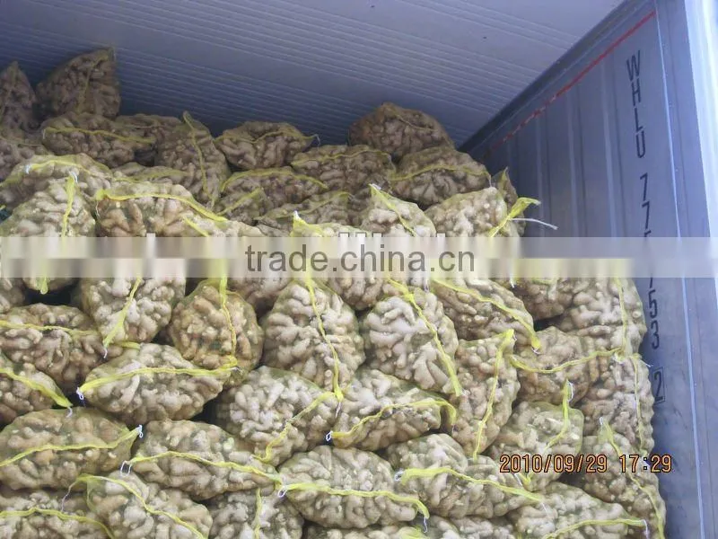 chinese fresh clean ginger