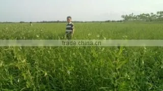Global Agro Resources Incorporation company overview - view 1
