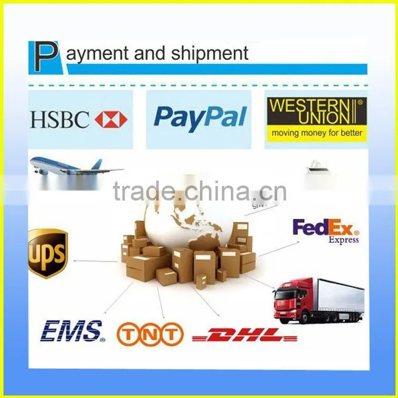 Cut Oil Circuit Car GPS Tracking Device WT1 Vehicle GPS Device