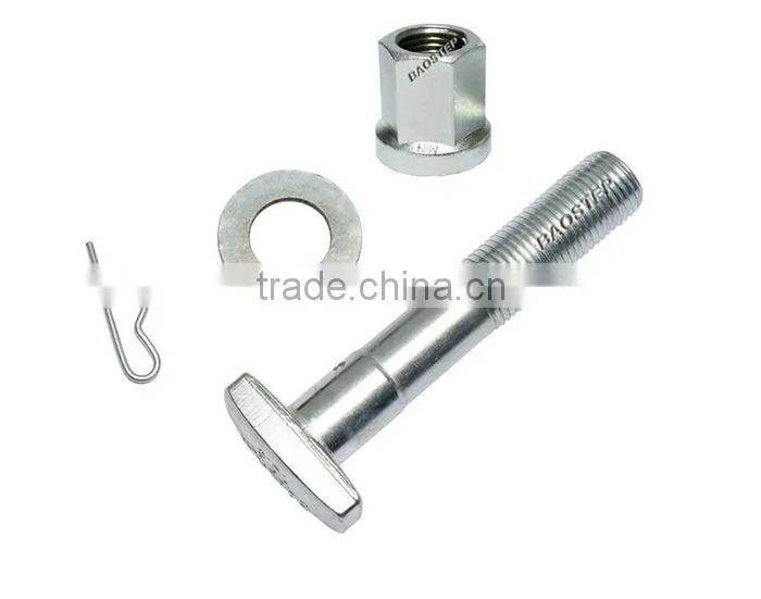 Baostep Excellent Quality Cold Forged Forged T Bolt