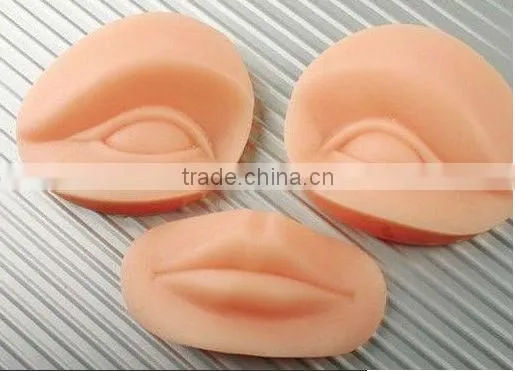 3d model skin-lips eyebrow Practice Dermis