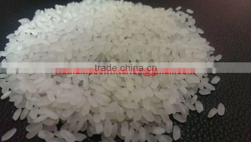 VIETNAMESE MEDIUM GRAIN RICE - CALROSE RICE - VINAFOOD 1.
