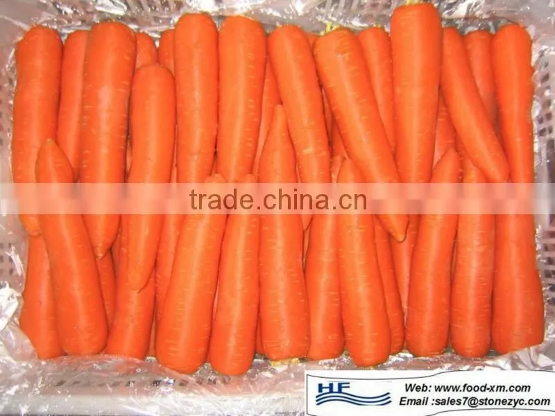low price fresh carrot
