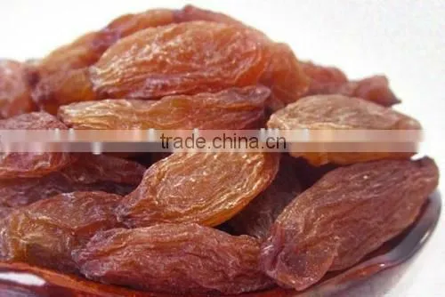 china wholesale seedless dried raisin