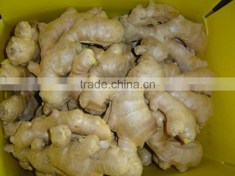 Chinese organic air dried ginger