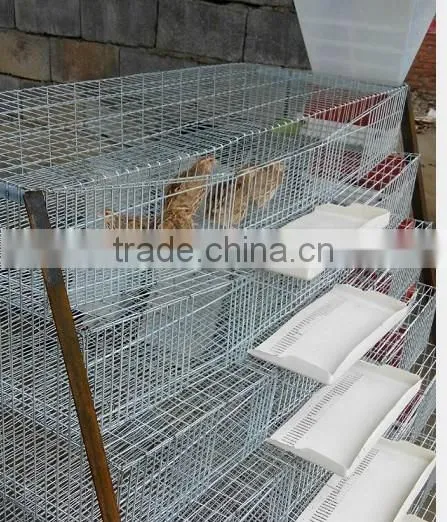 Automatic high essential quail farm cage/quail cage for sale HJ-QC300