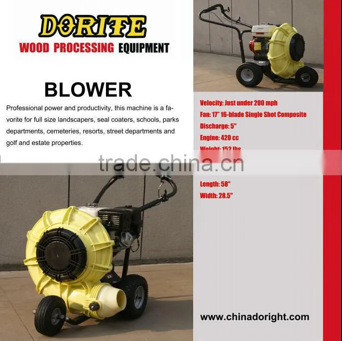 new fashion leaf blower with high quality