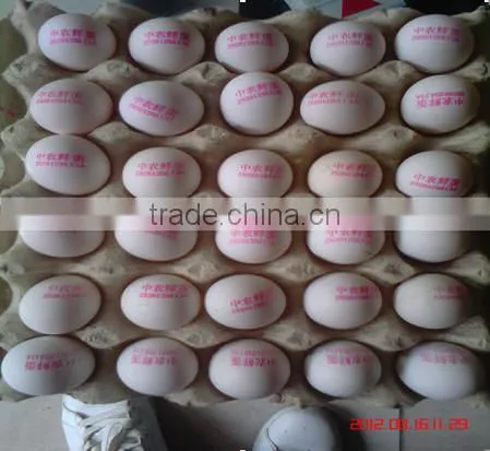solvent inkjet printing machine