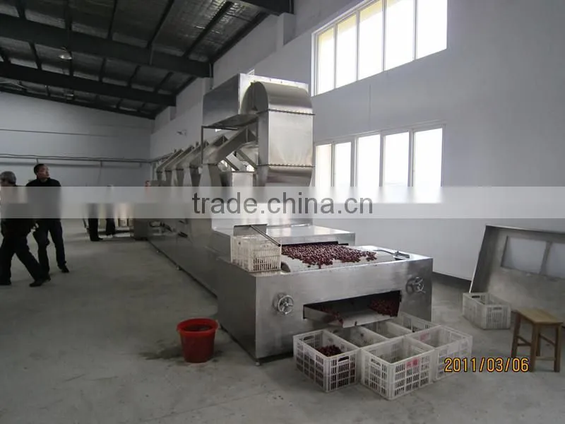 Industrial tunnel type microwave red dates dryer & sterilizer