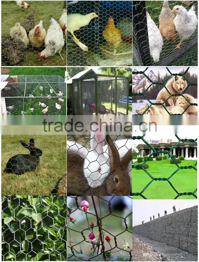 Direct Factory Welded Gabion Box Hexagonal Gabion Basket Galvanized Wire Cage Rock Mesh (Hebei Anping Manufacturer)
