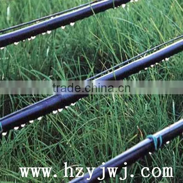 trickle irrigation