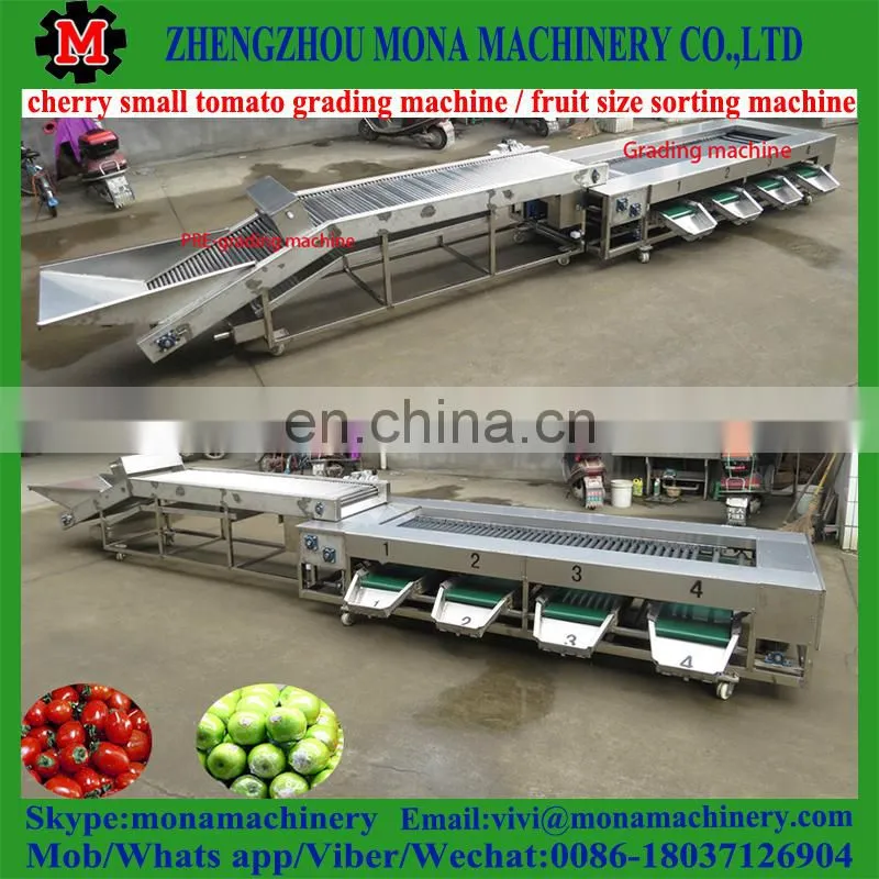 size fruit sorting machine by fruit diameter / small size high speed fruit grading machine