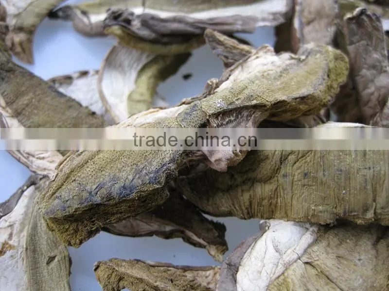 Porcini Mushroom Dried Boletus From Yunnan
