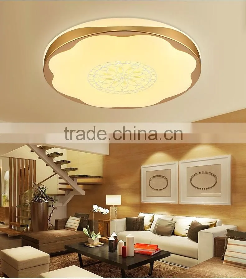 2016 New design modern ceiling light led ceiling light round with art design