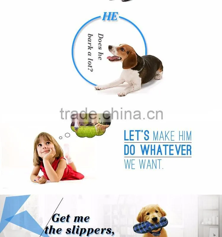 LoreWin PTS-008 Stop Dog Barking Solutions Anti Dog Barking Collar